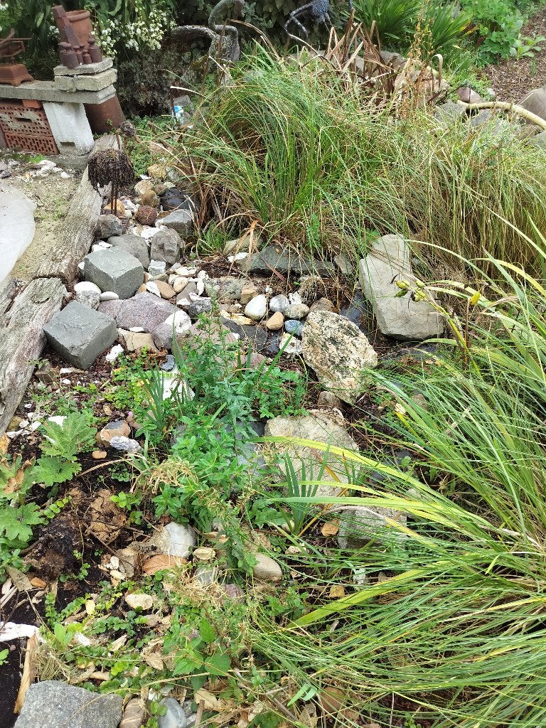 Vijverstenen gratis, Tuin en Terras, Ophalen, Gebruikt