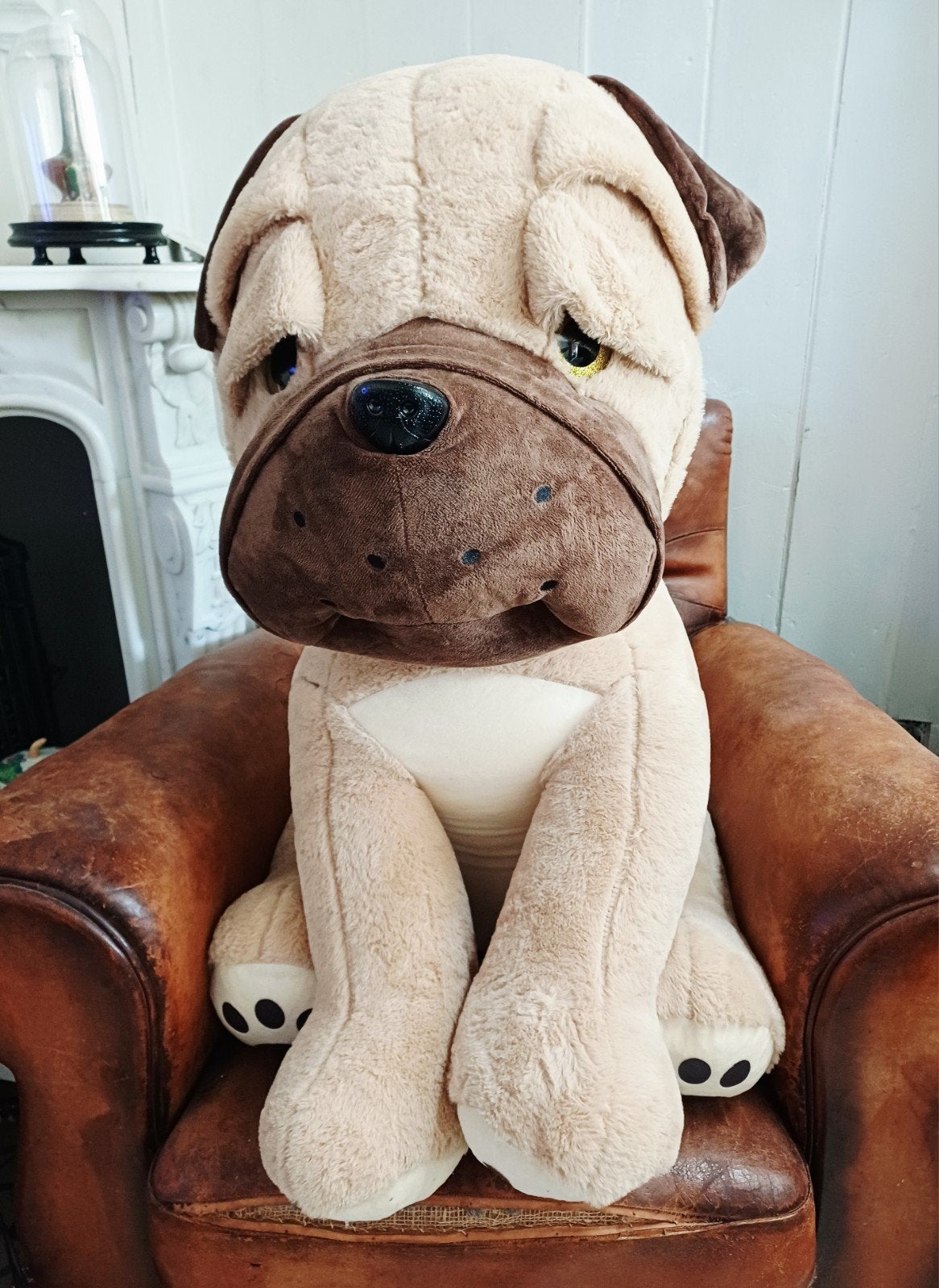 grote pluche hond, Ophalen