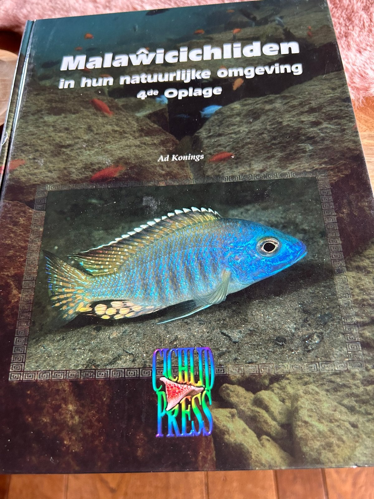 Malawichicliden, Enlèvement, Comme neuf