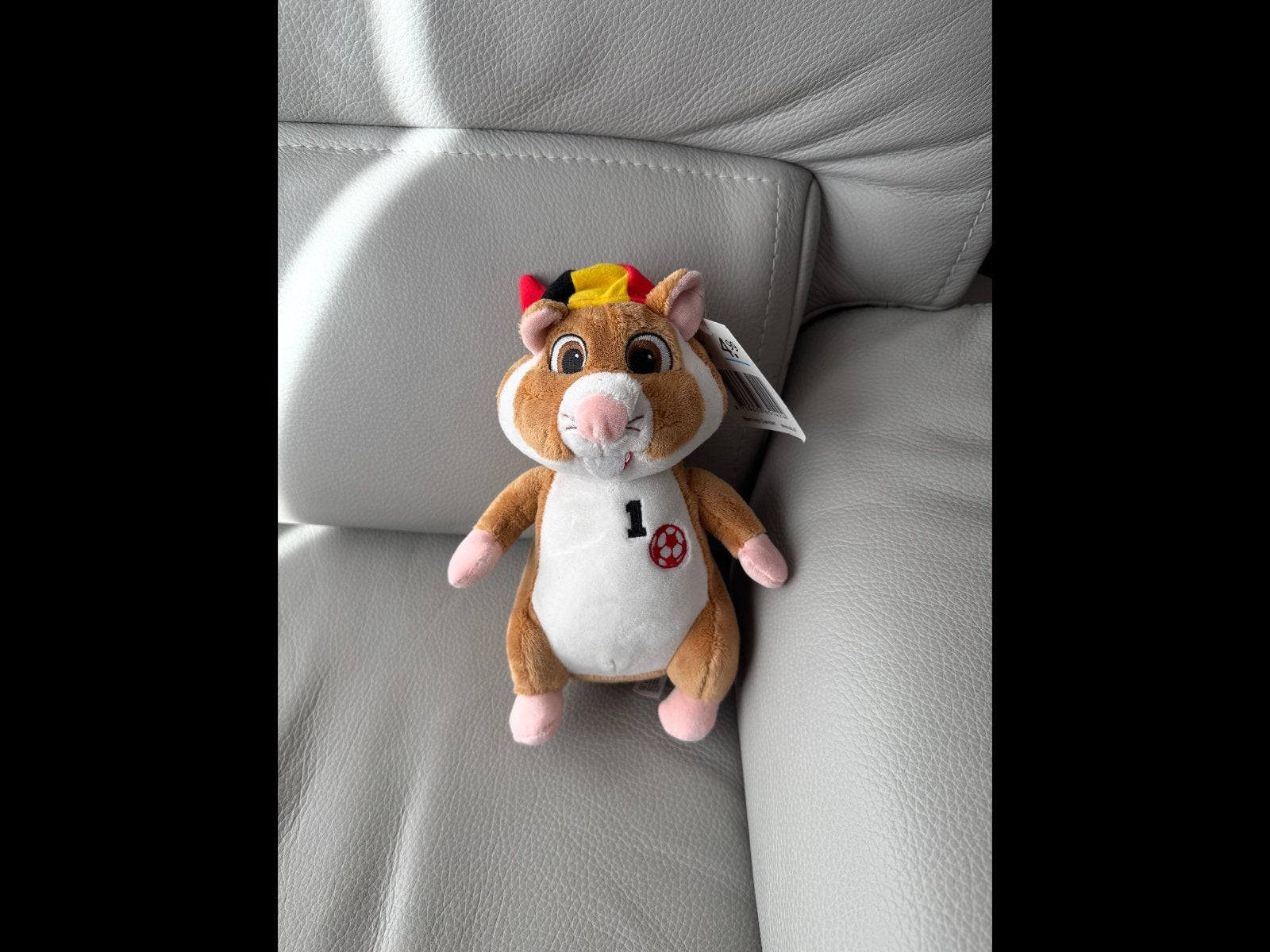 Hamster voetbal België, Kinderen en Baby's, Ophalen of Verzenden, Nieuw, Hamster