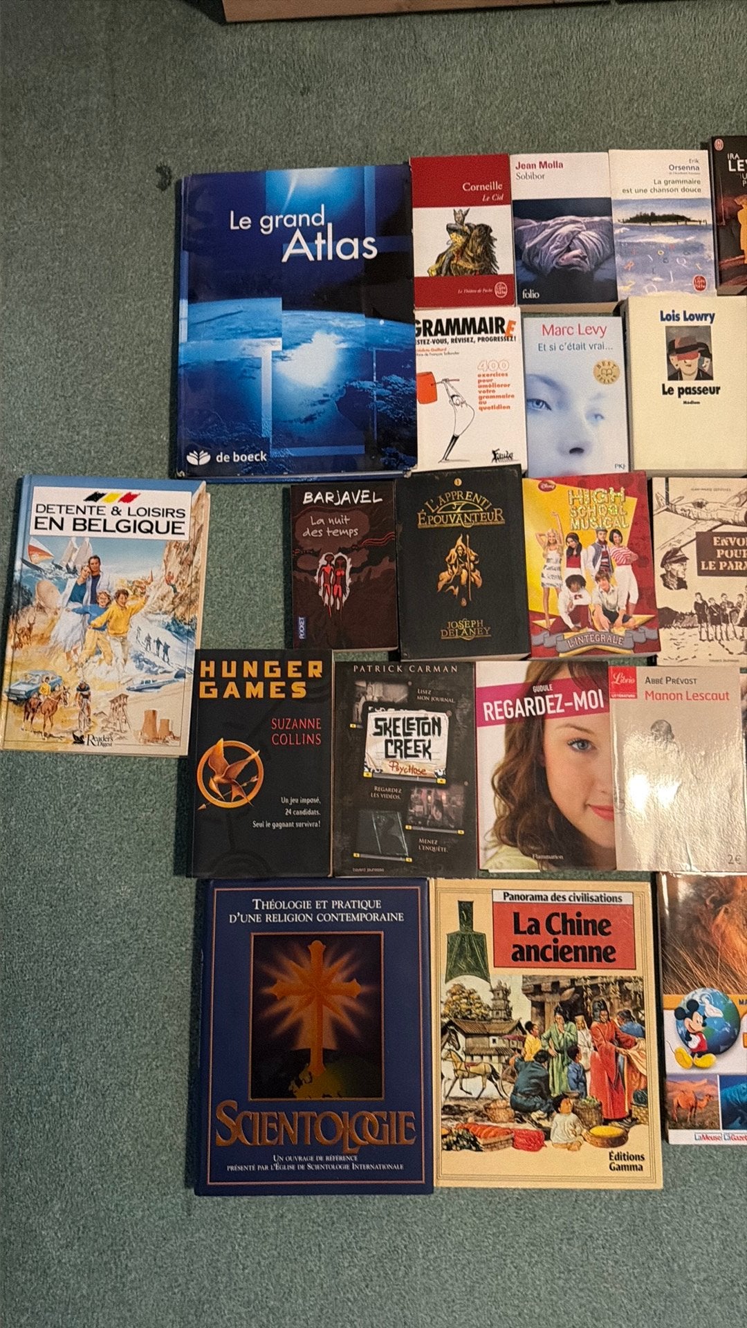 Livres, Enlèvement ou Envoi, Utilisé