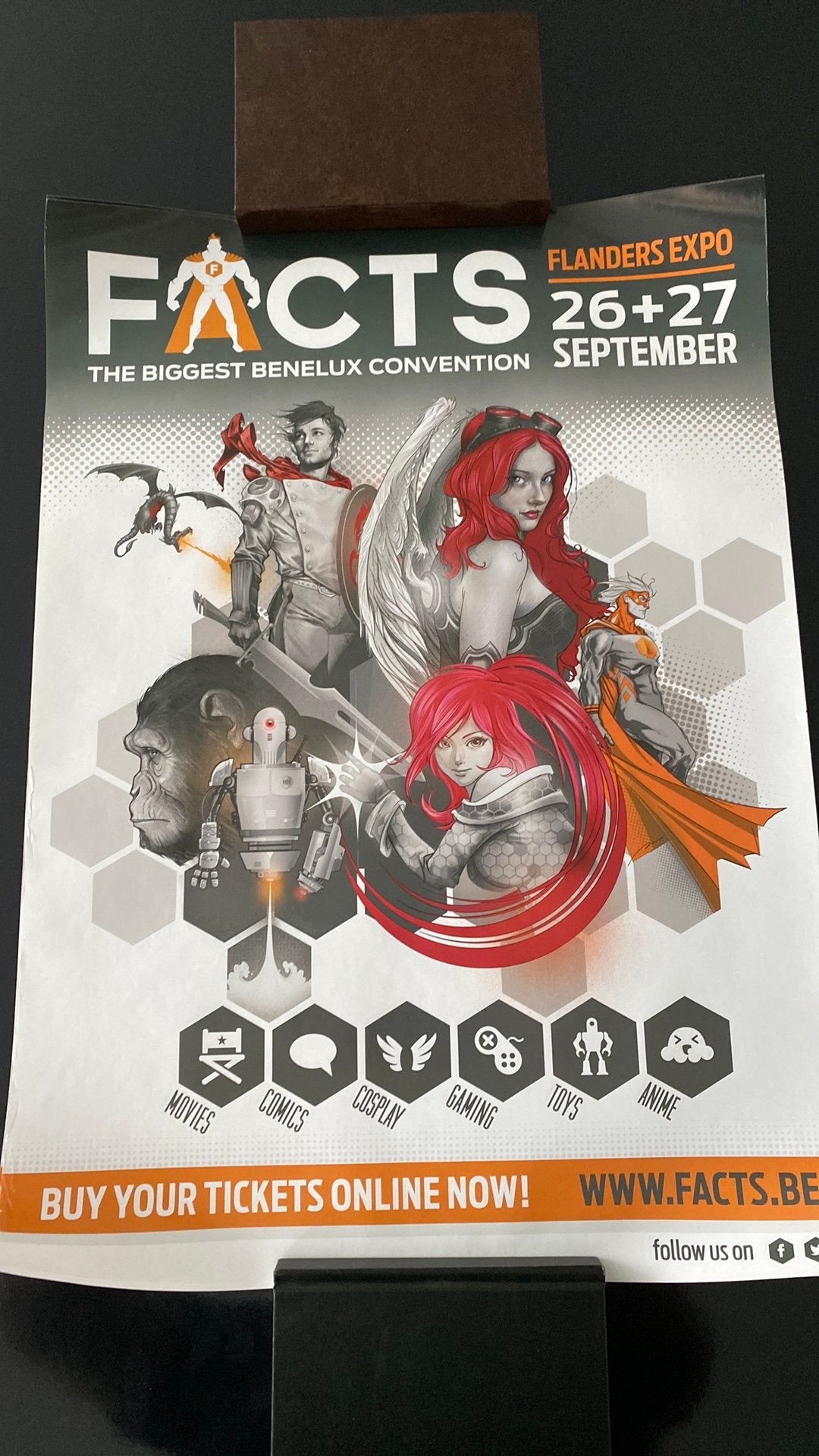 FACTS Flanders Expo - 2x poster, Enlèvement ou Envoi, Comme neuf