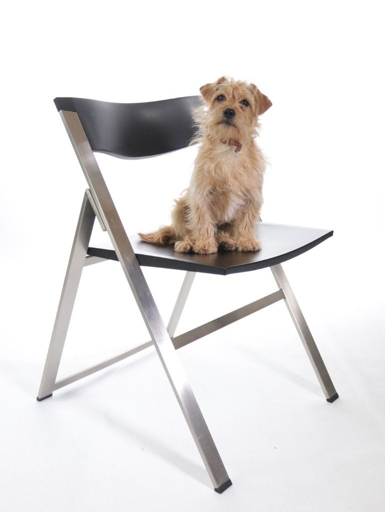 Set van 6 P08 klapstoelen Justus Kolberg voor Tecno, Ophalen