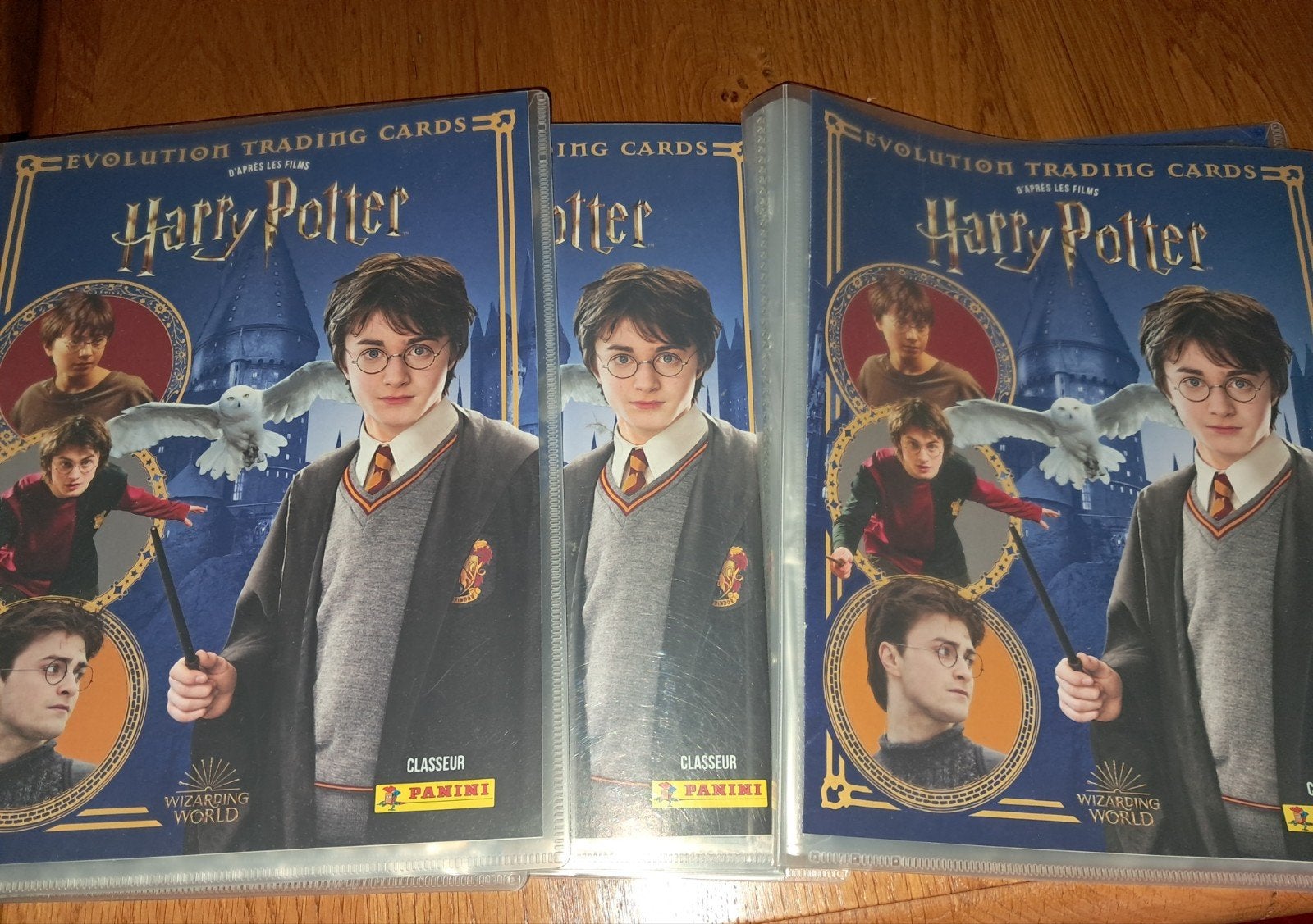 Harry Potter, Enlèvement ou Envoi, Neuf, Cartes en vrac