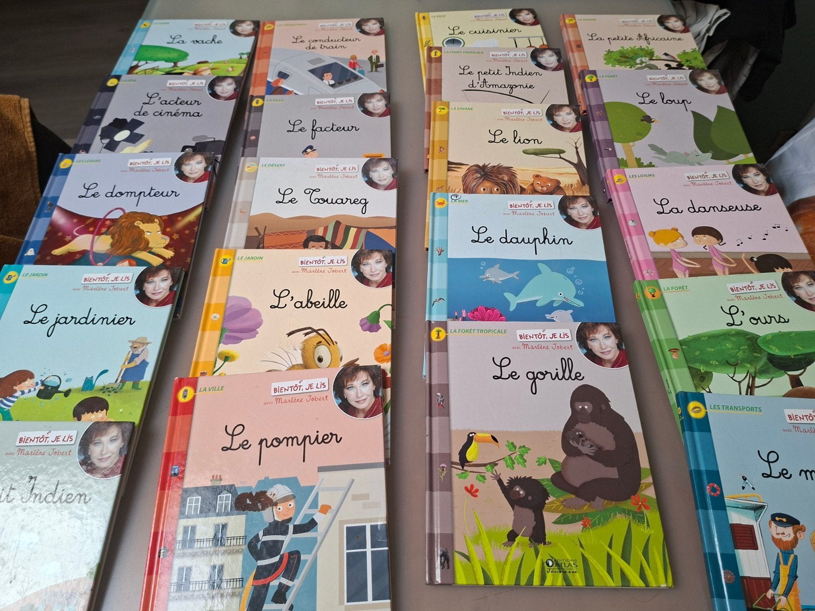 20 bds - bientôt je lis - l'ours, les dinausaures..., Boeken, Prentenboeken en Plaatjesalbums, Ophalen of Verzenden