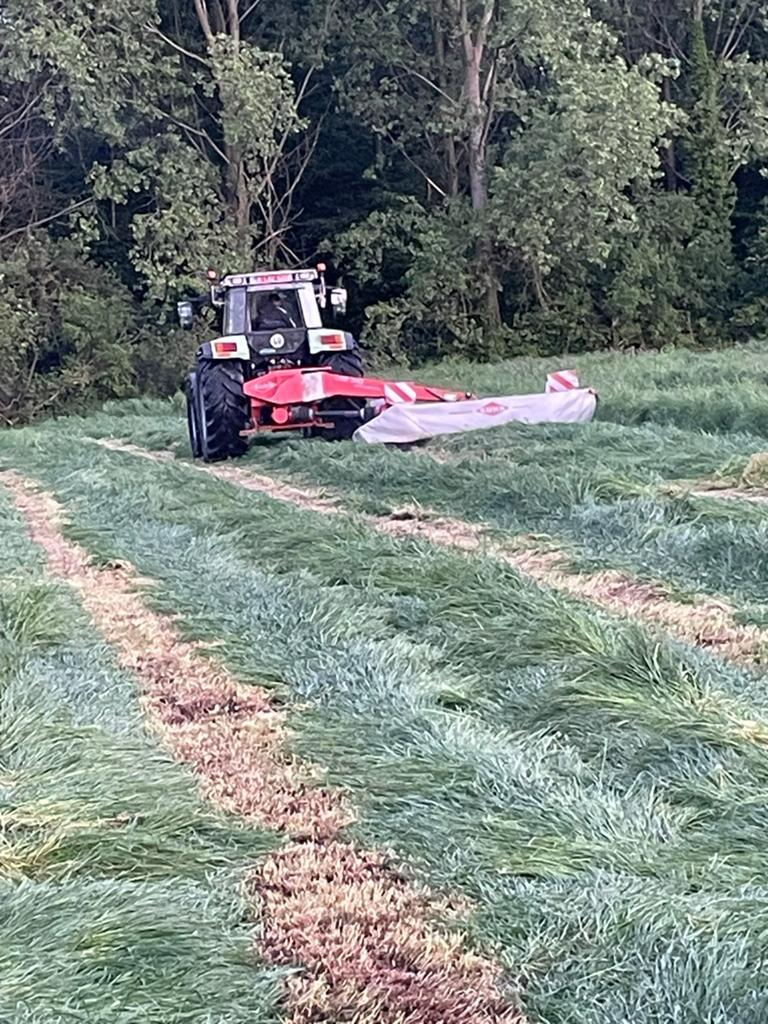 Kleine pakken hooi, Zakelijke goederen, Landbouw | Veevoer, Ophalen