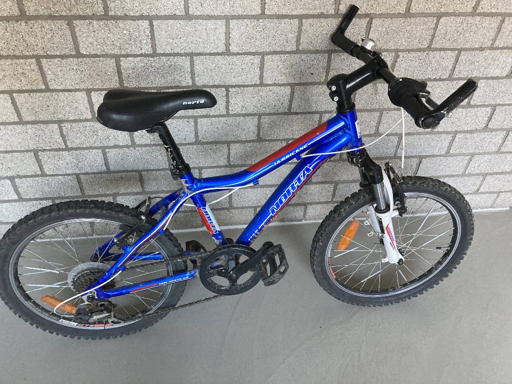 Kwalitatieve Norta kinderfiets, Fietsen en Brommers, Ophalen, Gebruikt, 20 inch of meer, Norta
