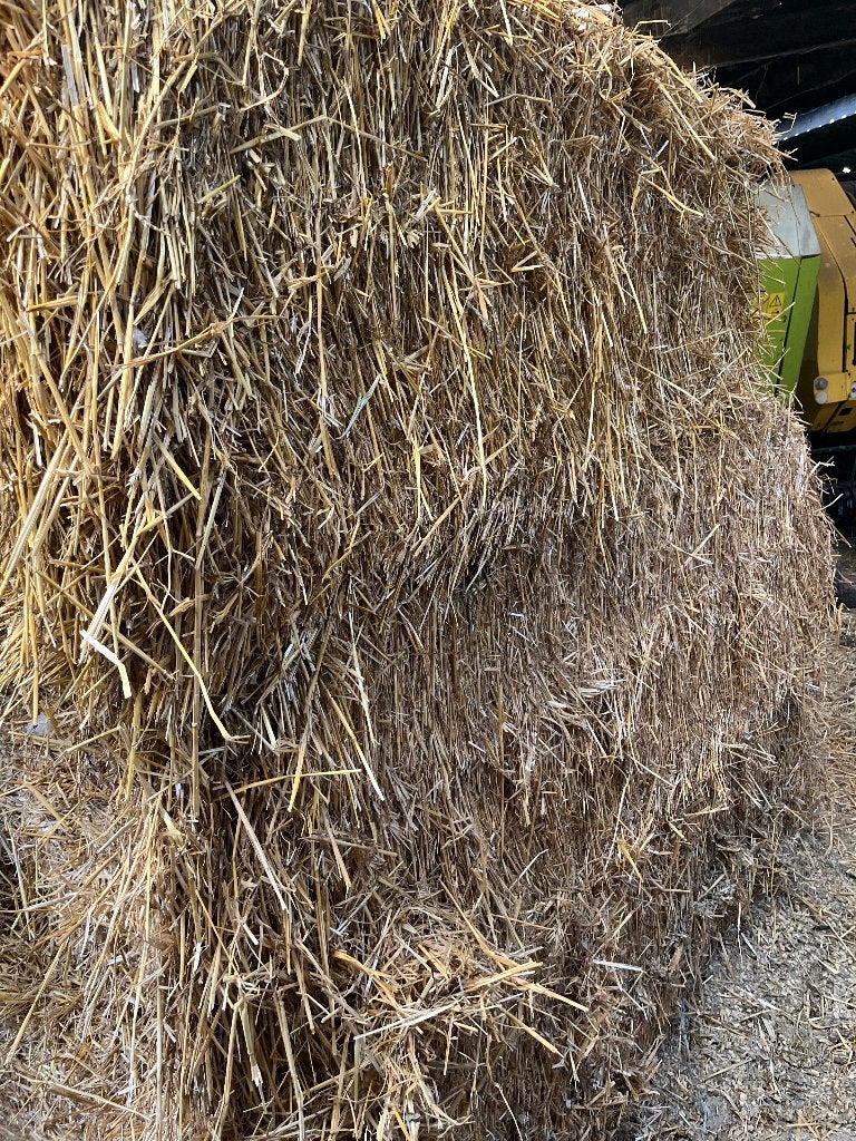 Paille, Enlèvement