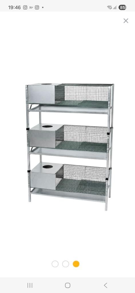 Cage poussin au cailleteaux, Animaux & Accessoires, Autres accessoires pour animaux, Enlèvement