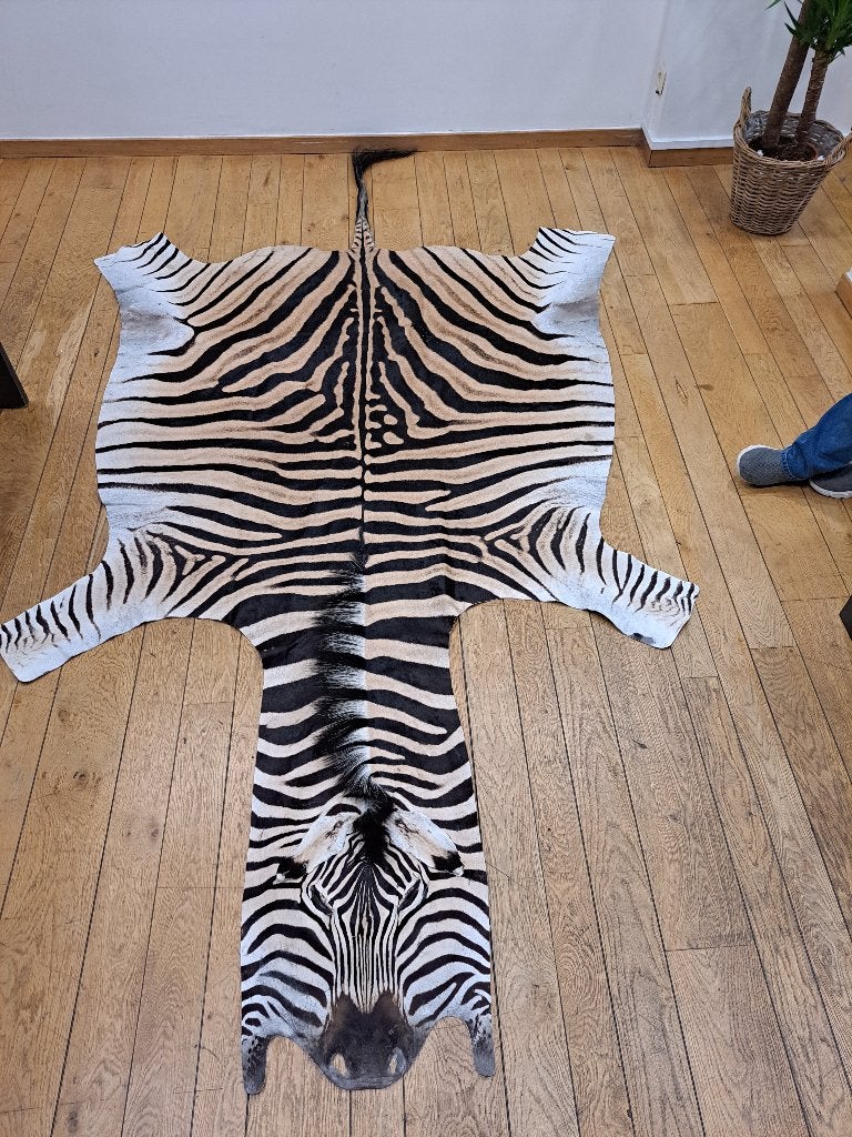 Zebra huid, Huis en Inrichting, Woonaccessoires | Overige, Nieuw, Ophalen of Verzenden, Landelijk, Meerkleurig