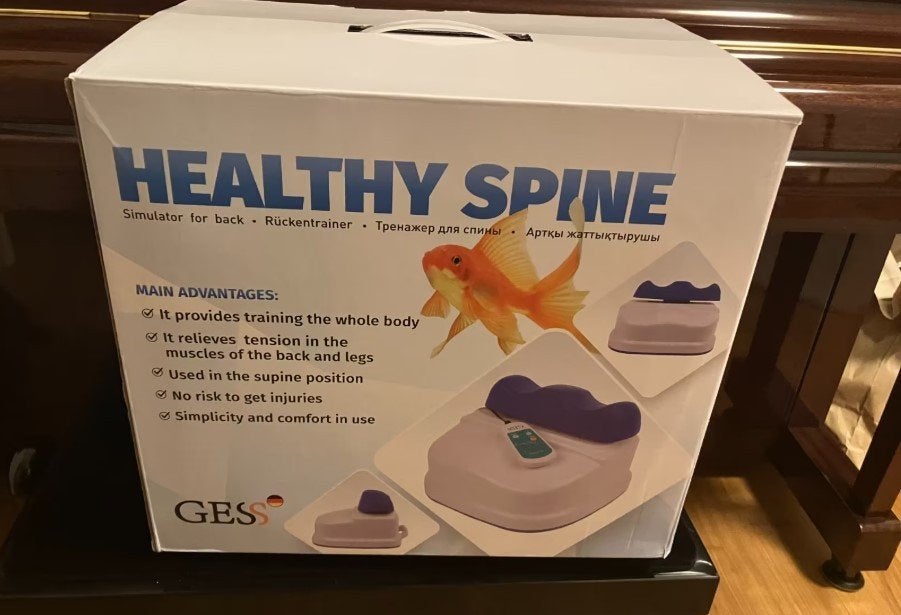 GESS Swing Spine Rugmassageapparaat voor gezonde wervelkolom, Ophalen of Verzenden, Zo goed als nieuw, Apparaat