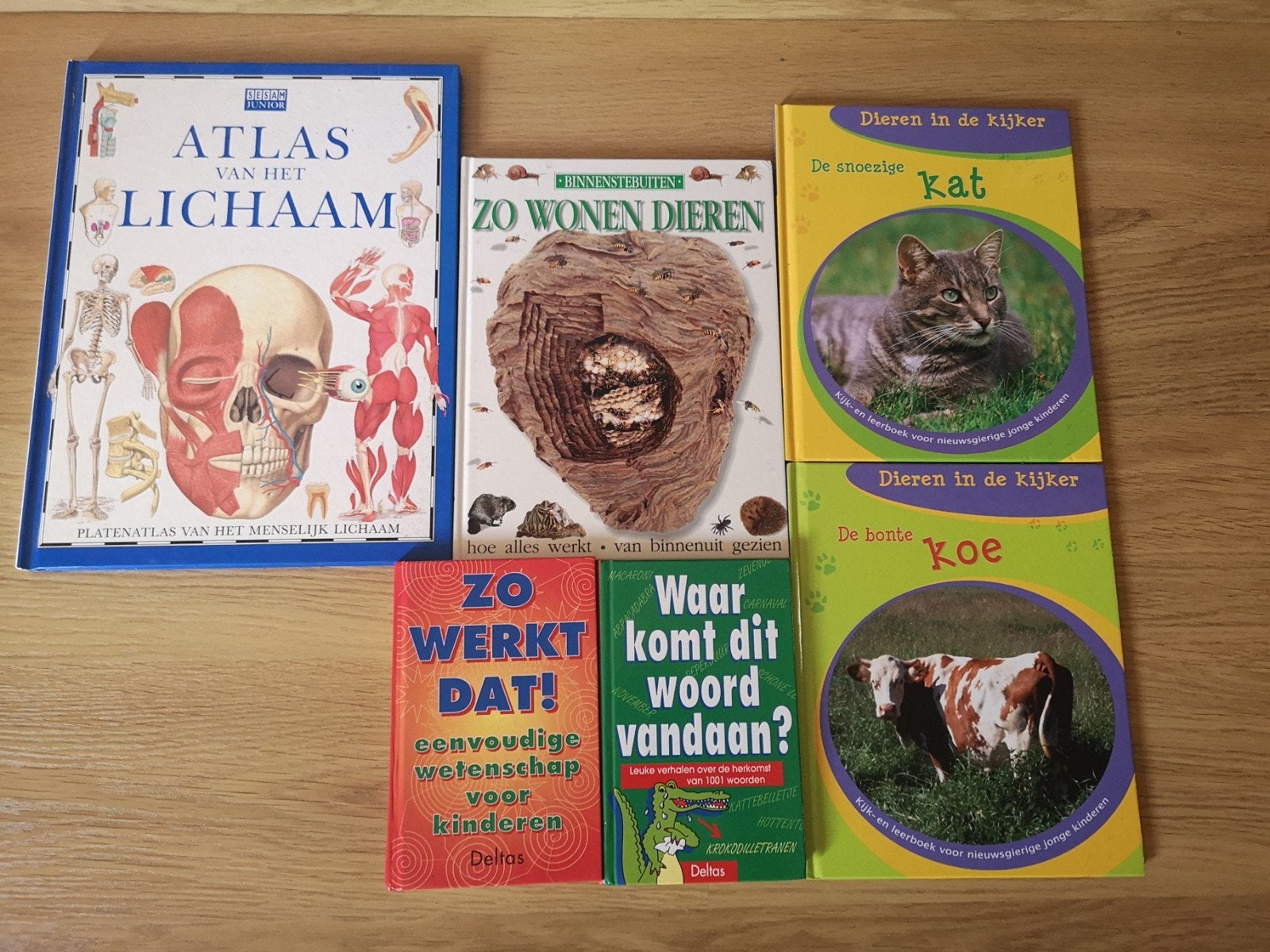 Lot van 6 leerrijke kinderboeken voor 5 EUR samen, Boeken, Ophalen