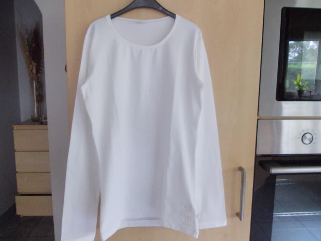 Tshirts-Longsleeves verschillende Grote Merken.  maat M., Maat 38/40 (M), Overige kleuren, Ophalen of Verzenden, Zo goed als nieuw