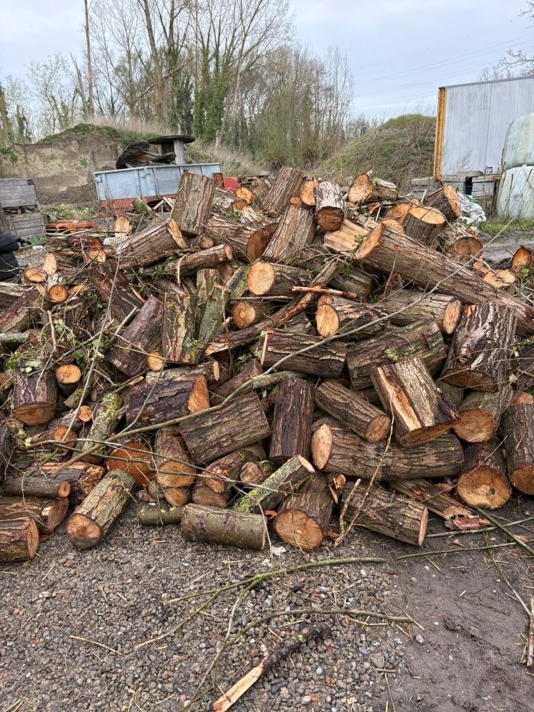 brandhout, Tuin en Terras, Ophalen of Verzenden