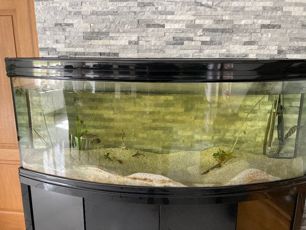 Aquarium tout complet., Animaux & Accessoires, Poissons | Aquariums & Accessoires, Chauffage, Enlèvement