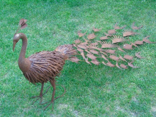 Roestige smeedijzeren pauw... 1M35 LANG!, Ophalen, Nieuw, Metaal, Dierenbeeld
