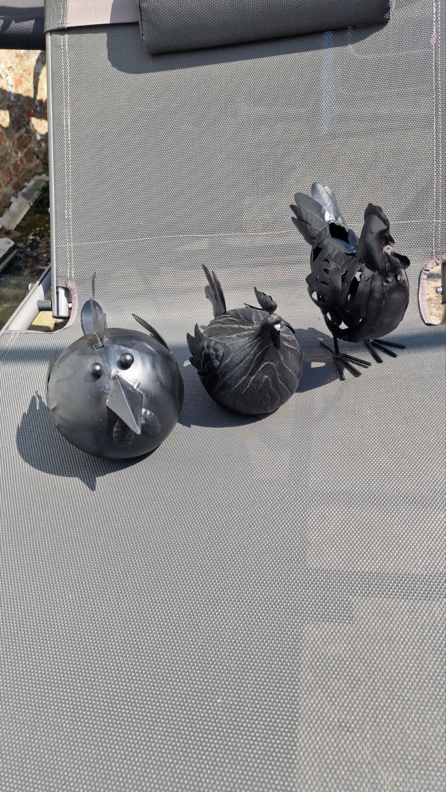 Poules décorative, Enlèvement