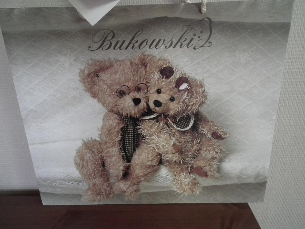 Sac cadeau Bukowski (Longueur 40 cm/ hauteur 32,5 cm), Envoi, Comme neuf