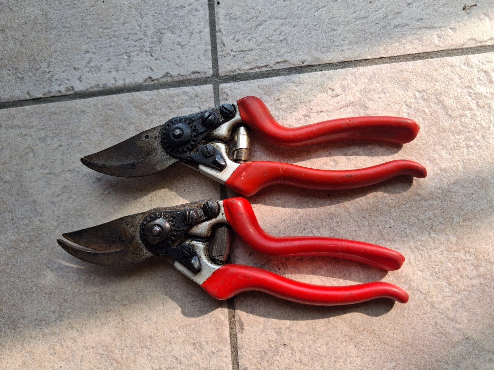 knip schaar, Enlèvement