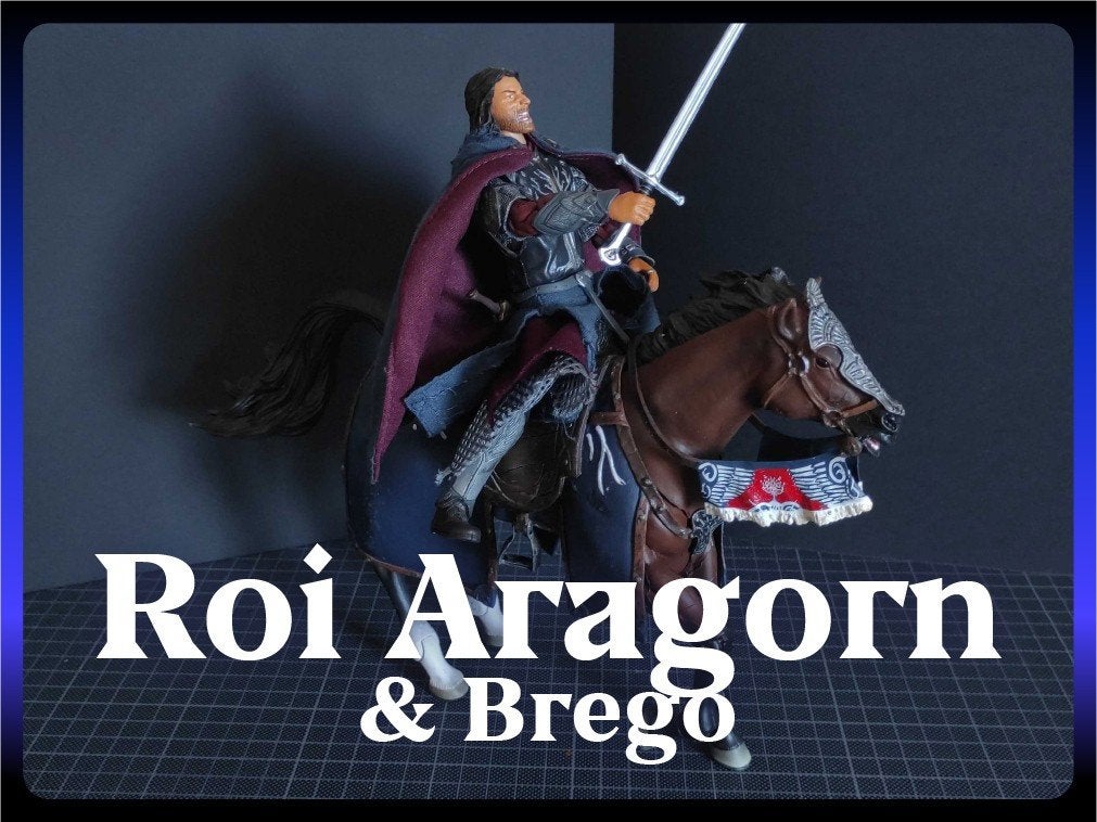ToyBiz LOTR | Aragorn roi du Gondor & Brego (2002), Collections, Enlèvement, Comme neuf, Figurine