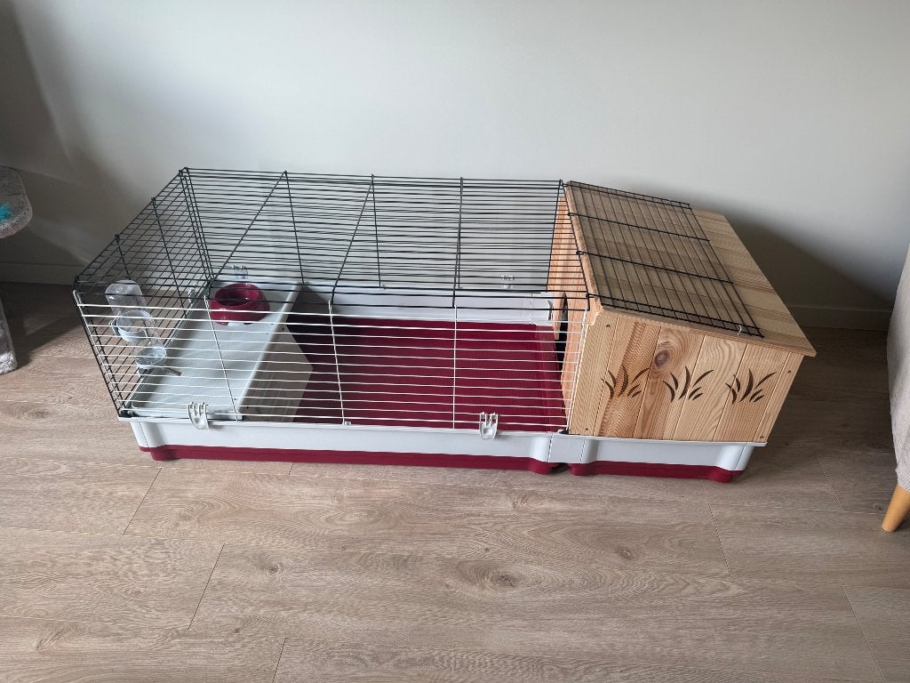 Konijnenhok, Animaux & Accessoires, Neuf, Moins de 60 cm, Cage, Cobaye
