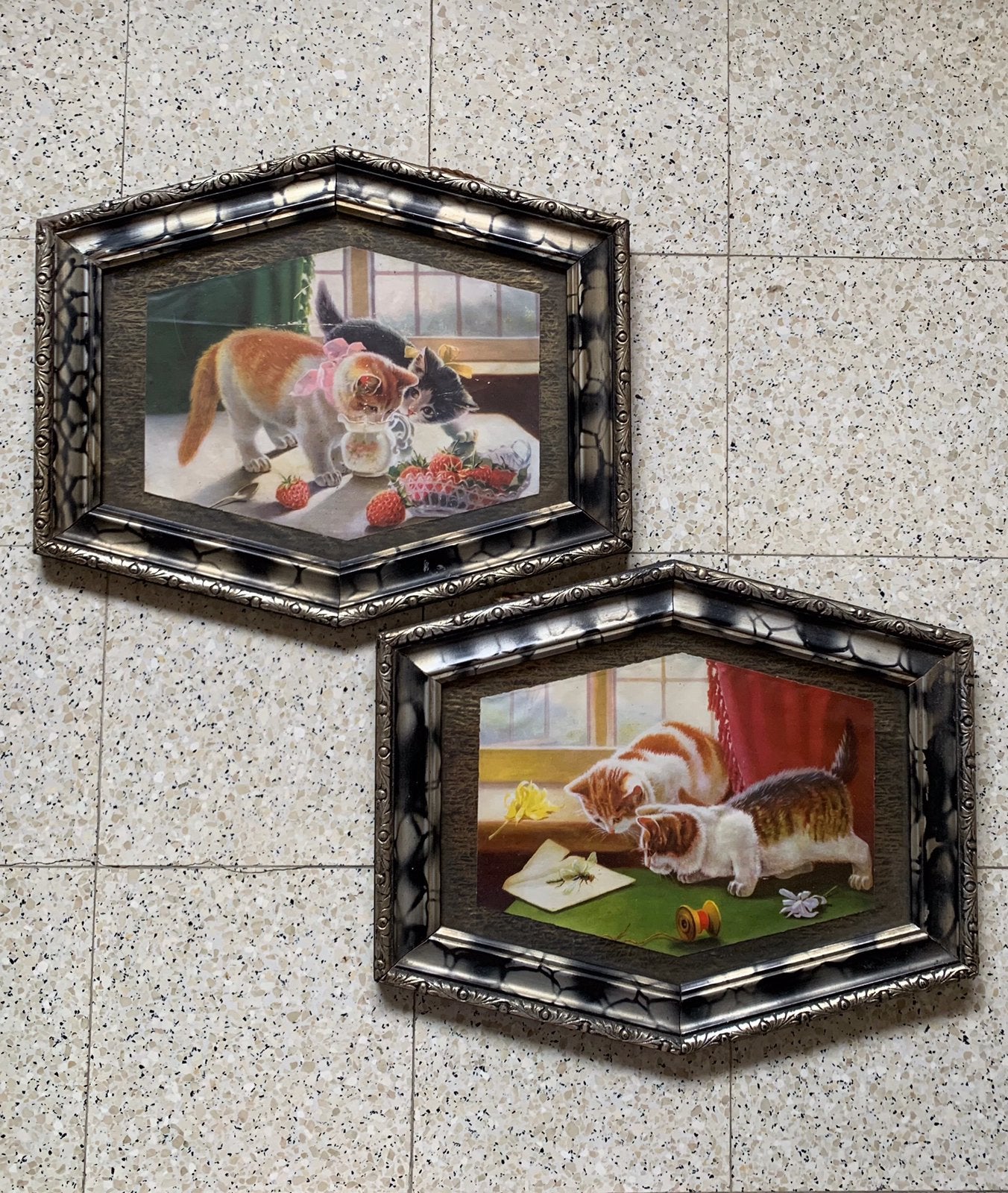 Deux photos de chats encadrées, Enlèvement ou Envoi