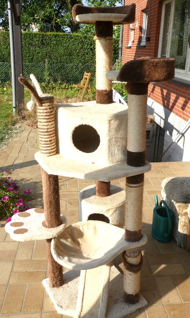 grand griffoir pour chat, Enlèvement, Griffoir