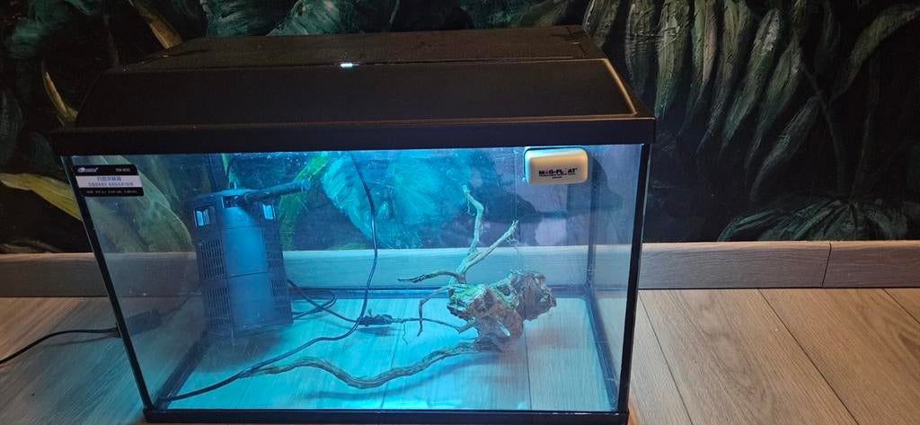Aquarium, pompe et souche, Animaux & Accessoires