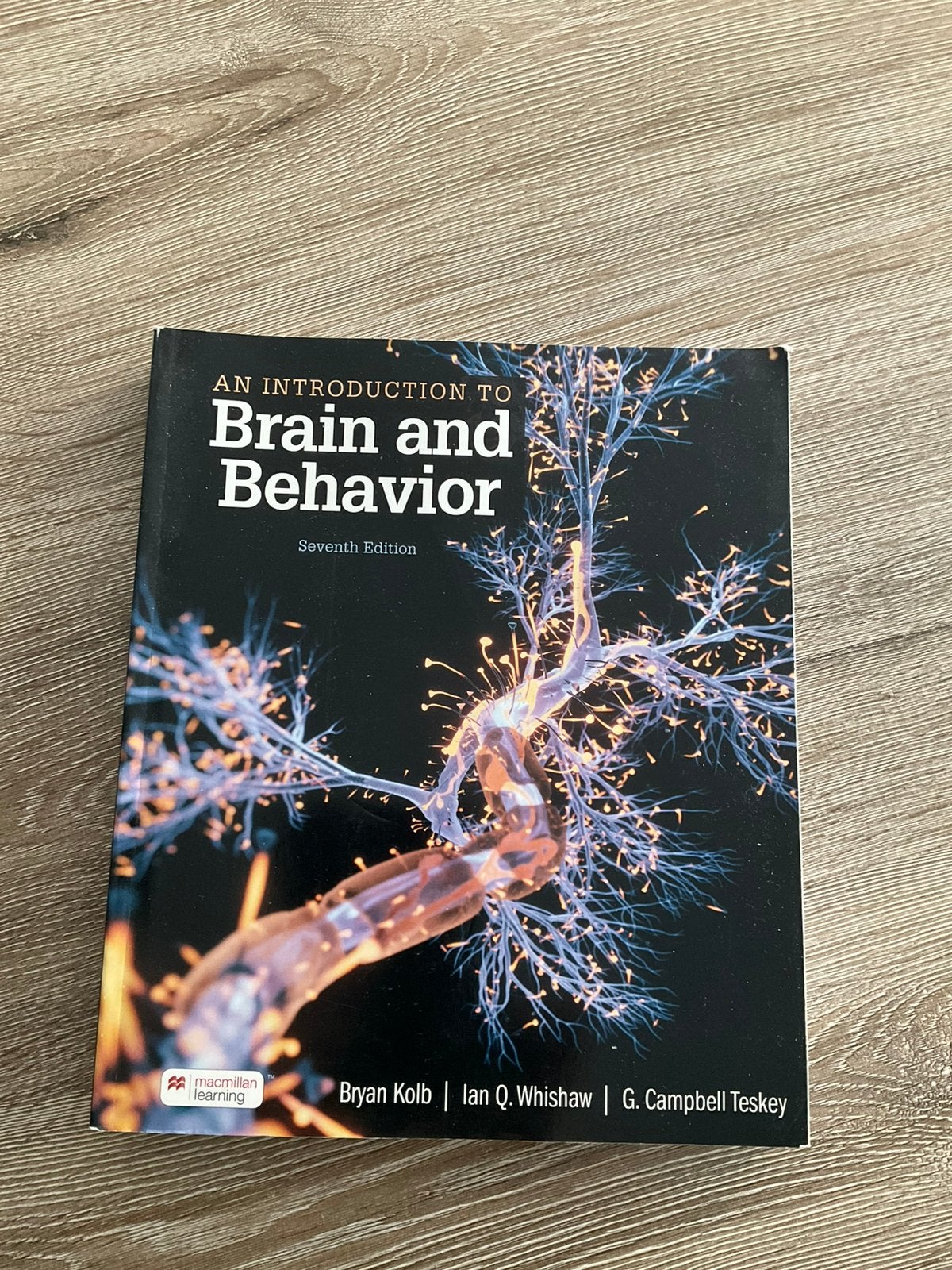 Brain and behavior, Enlèvement, Comme neuf