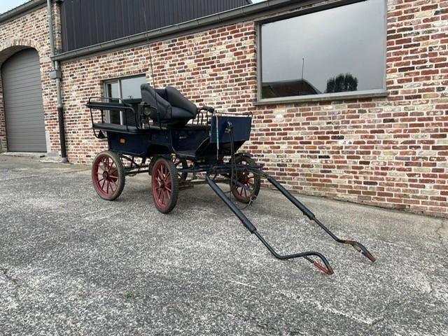 koets, Gebruikt, Overige typen, Paard