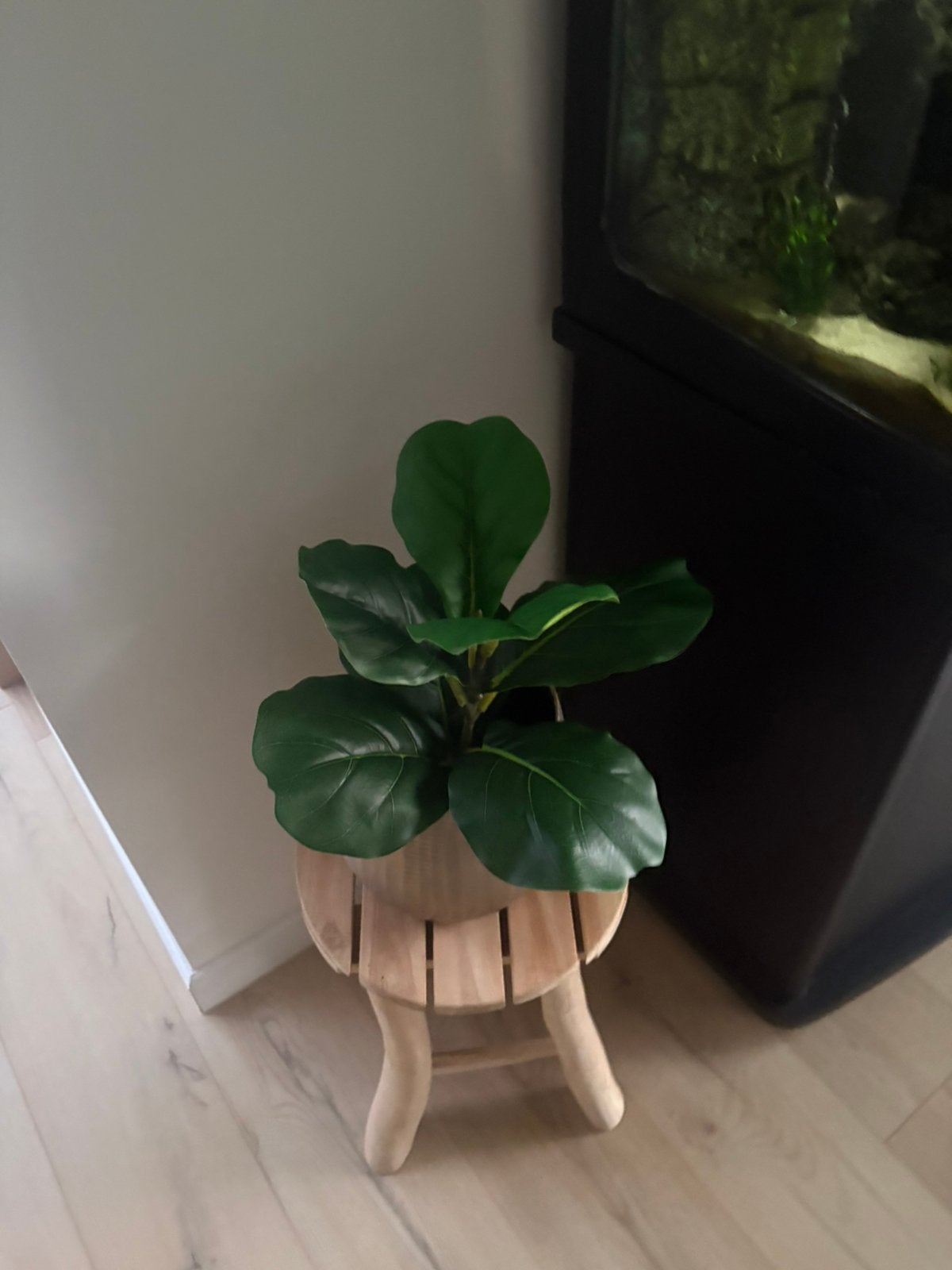 Kunstplant met krukje, Huis en Inrichting, Ophalen, Zo goed als nieuw, Kunstplant