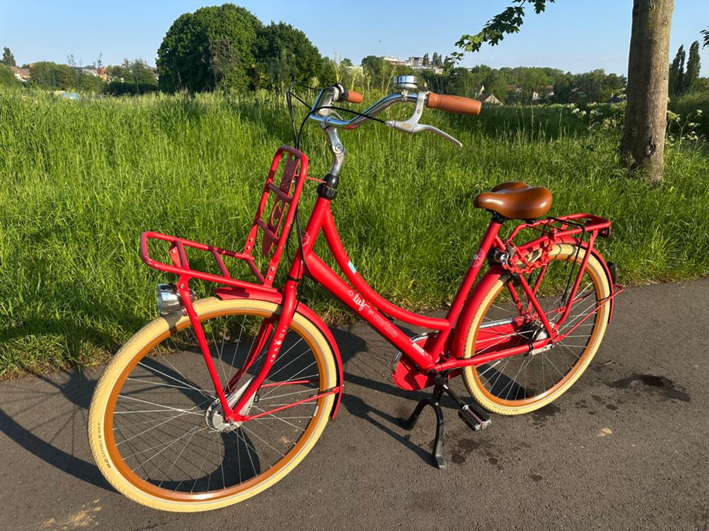 Vélo ville Elops style hollandais, Vélos & Vélomoteurs, Enlèvement, Comme neuf