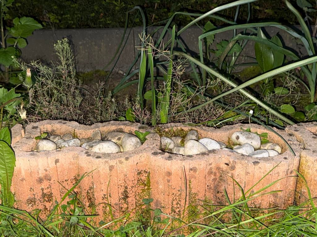 Plantenbak van beton, Tuin en Terras, Ophalen, Gebruikt
