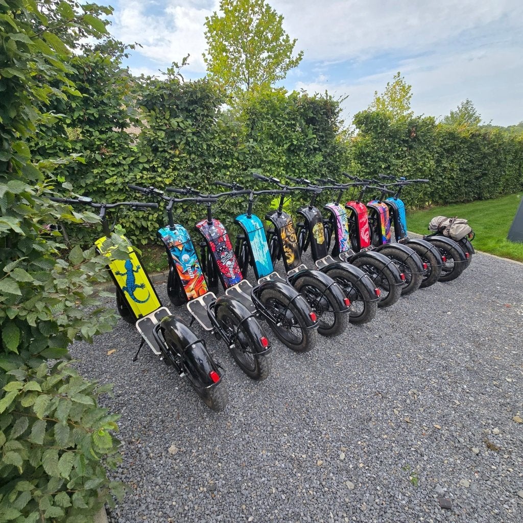 Trottinettes électriques Zosh, Enlèvement, Utilisé