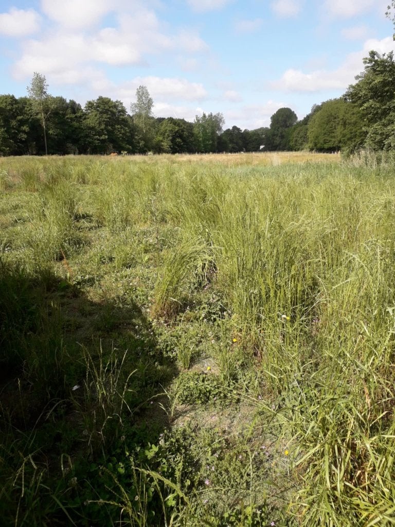 location prairie chevaux, Pâturage, 4 chevaux ou poneys ou plus