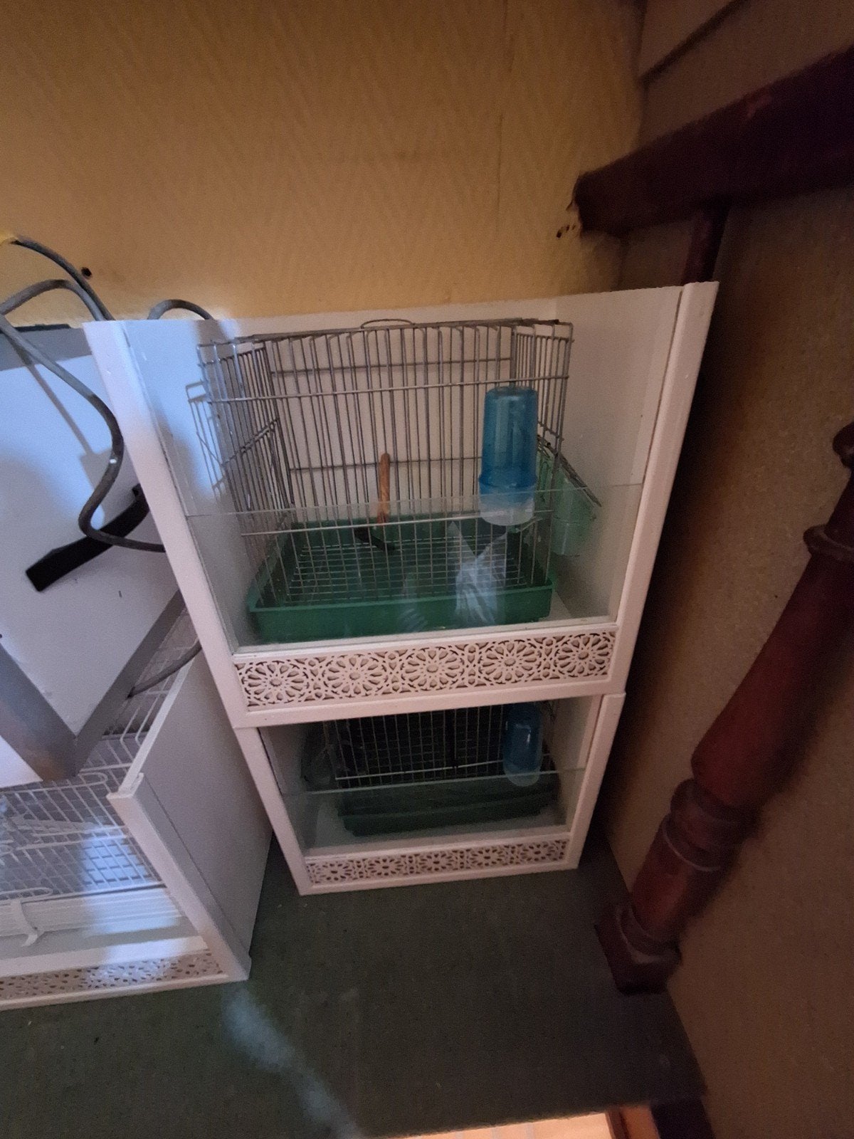 cage oiseaux, Animaux & Accessoires, Enlèvement ou Envoi