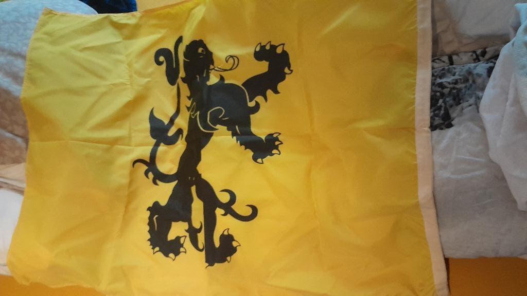 Vlaamse Leeuw / vlag, Ophalen of Verzenden, Nieuw