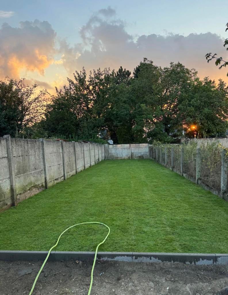 Gazon naturel préparation la pose disponible, Enlèvement ou Envoi, Neuf