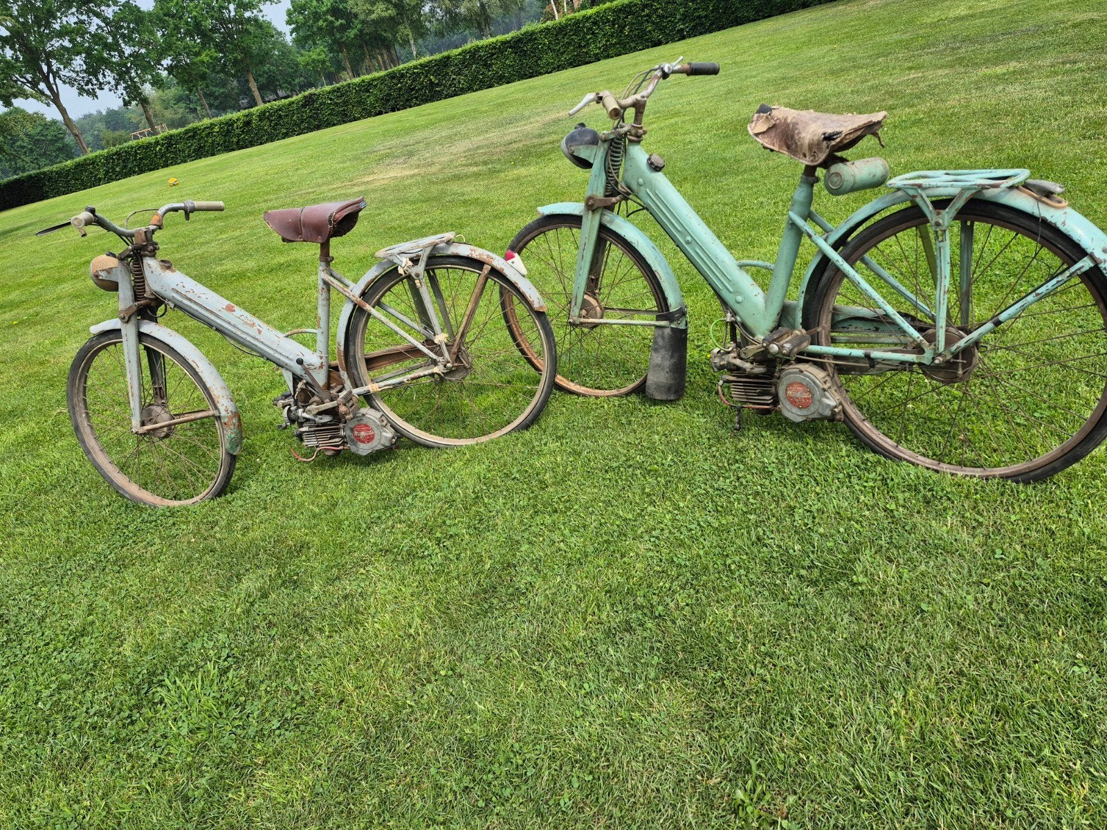 mosquito paperino, Vélos & Vélomoteurs, Enlèvement