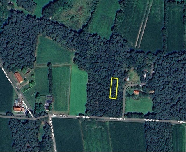 Bosgrond te Balen/Wolfsdonken – verlaagde prijs, Balen, Ventes sans courtier, 1000 à 1500 m²