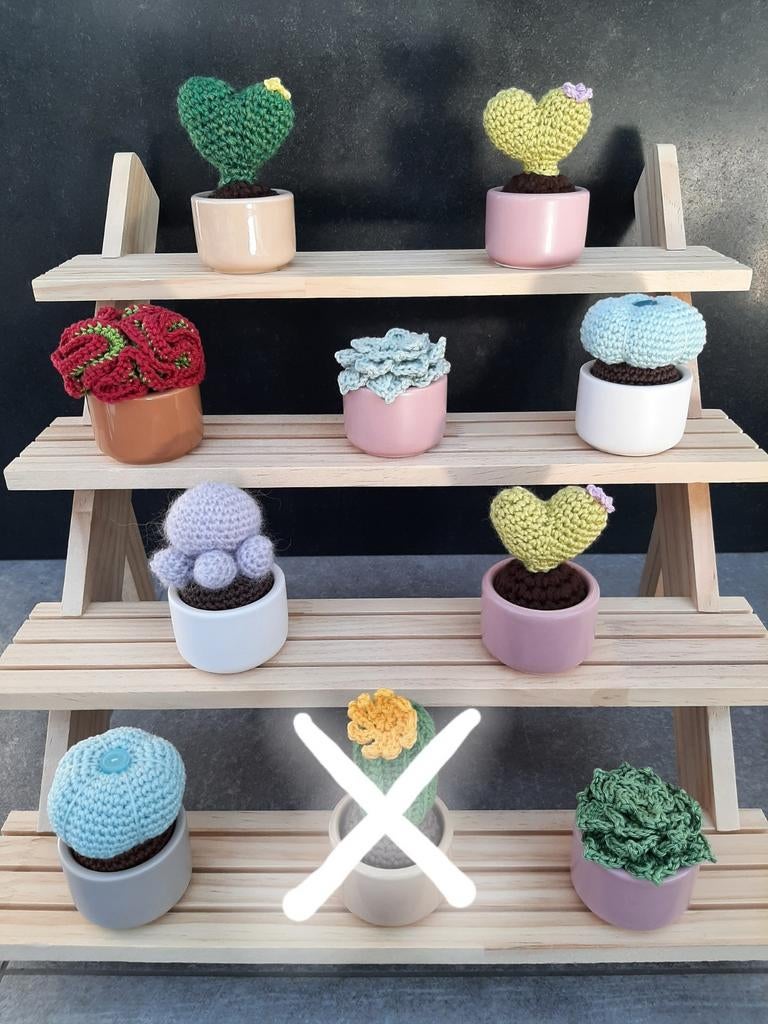 Kleine cactussen en gehaakte planten, Huis en Inrichting, Woonaccessoires | Etagères