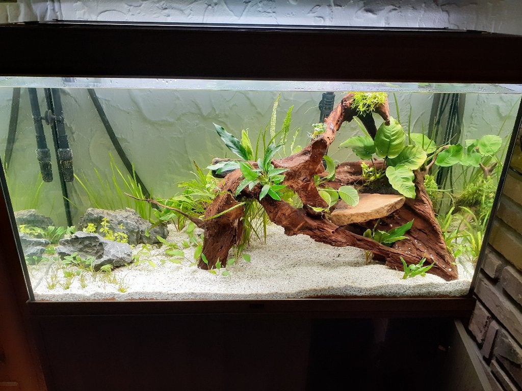Aquarium van 200 liter met kast, Ophalen, Aquatlantis, Leeg aquarium, Gebruikt