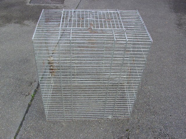Cage solide perroquet ou autres animaux Adam D, Ophalen, Gebruikt, Metaal, Overige typen