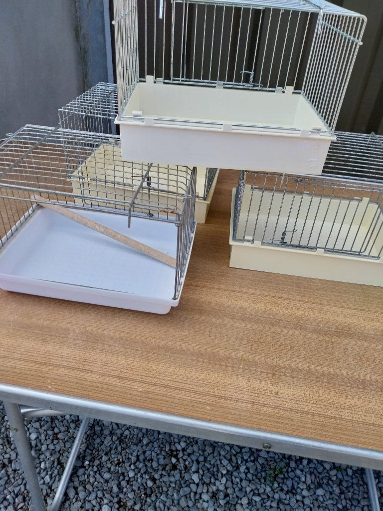 babykooien, Dieren en Toebehoren, Ophalen, Zo goed als nieuw