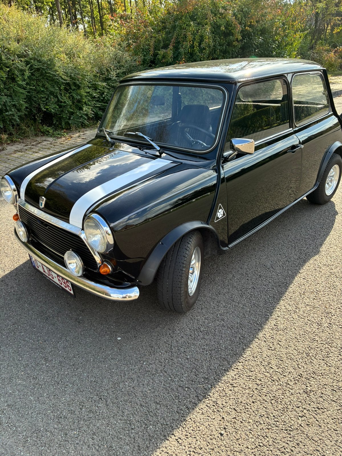 MINI 1000, foto 3