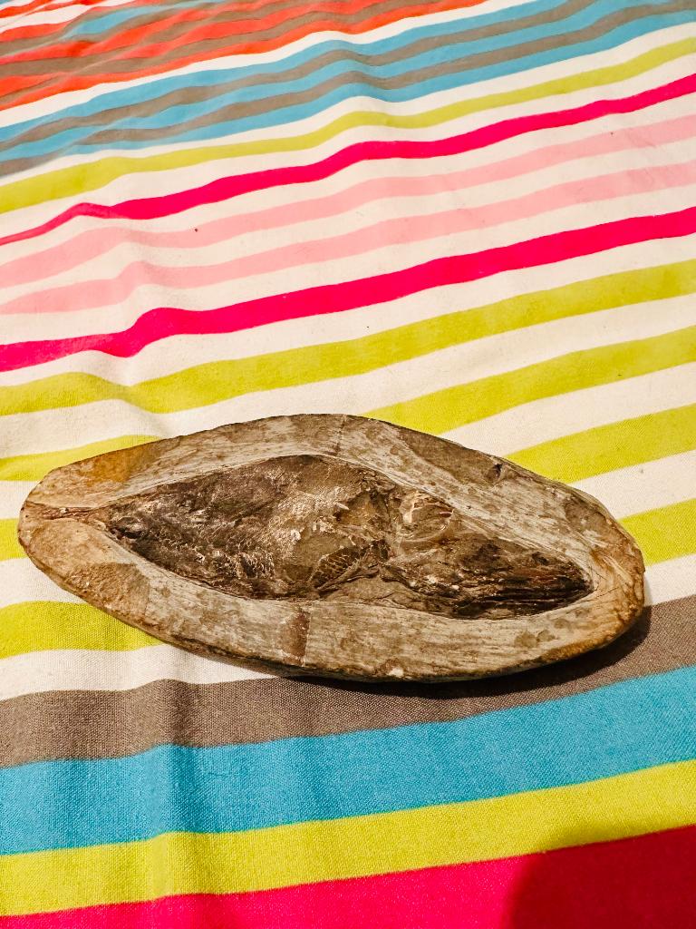 Fossile, Enlèvement, Fossile