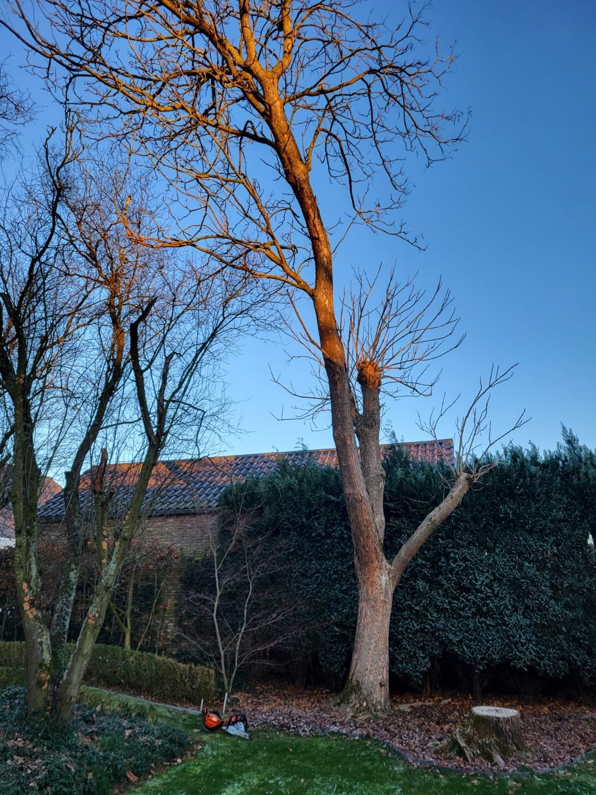 Onderhoud tuin en weiland, Enlèvement