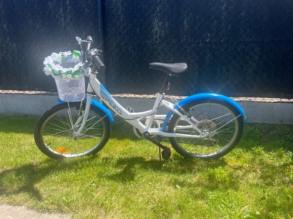Fiets 5-8 jaar voor kinderen tot 1,20m, Gebruikt, Velgrem, Versnellingen, 20 inch