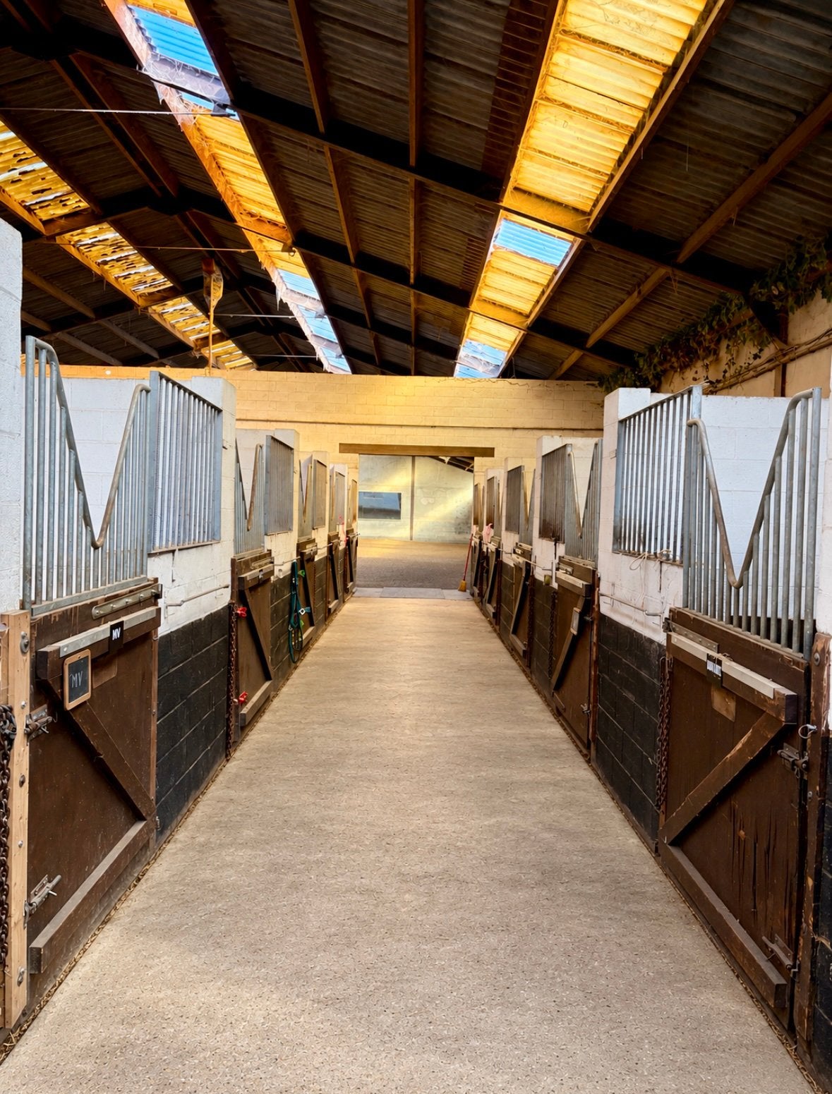 🍀Couloir de boxes à louer - IG Sports Horses🍀, 4 chevaux ou poneys ou plus