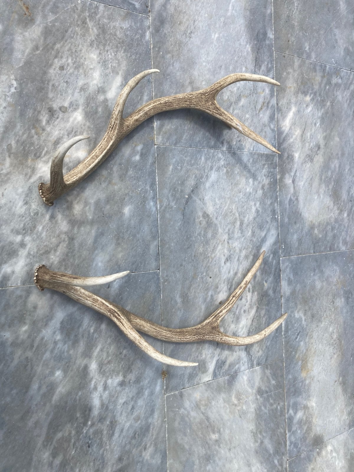 Bois cerf, Enlèvement ou Envoi, Comme neuf, Cerf
